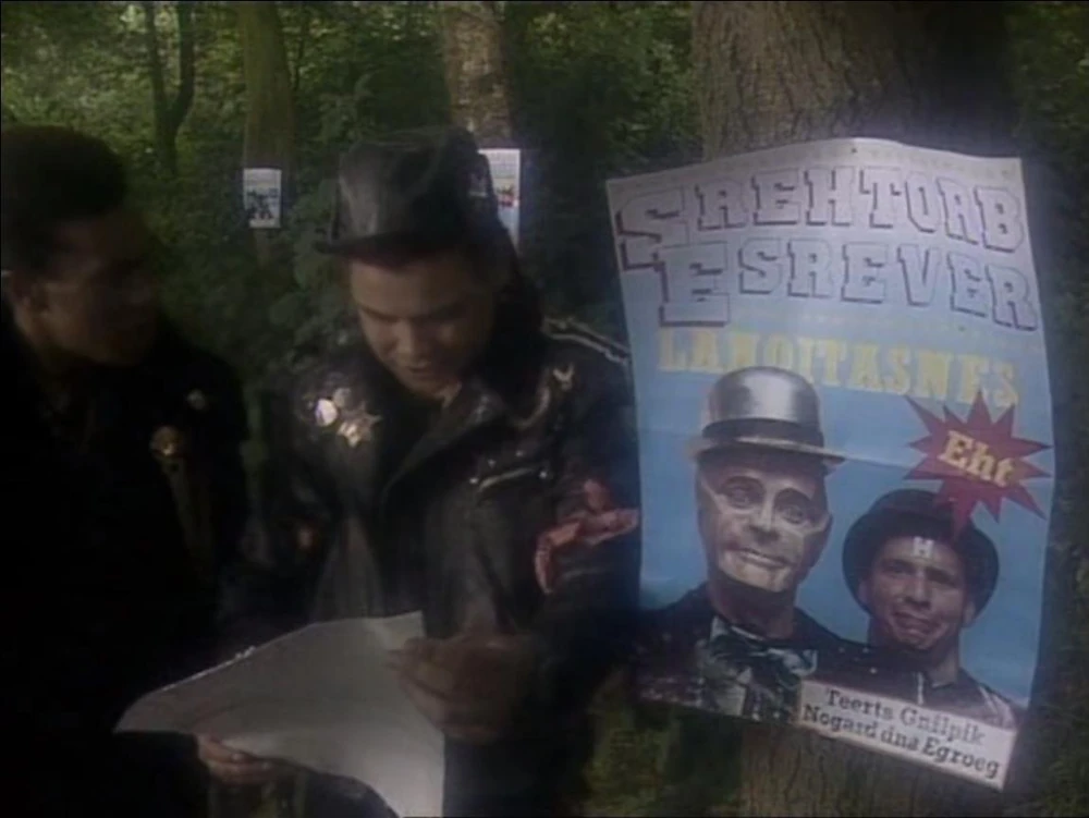 The Sensational Reverse Brothers