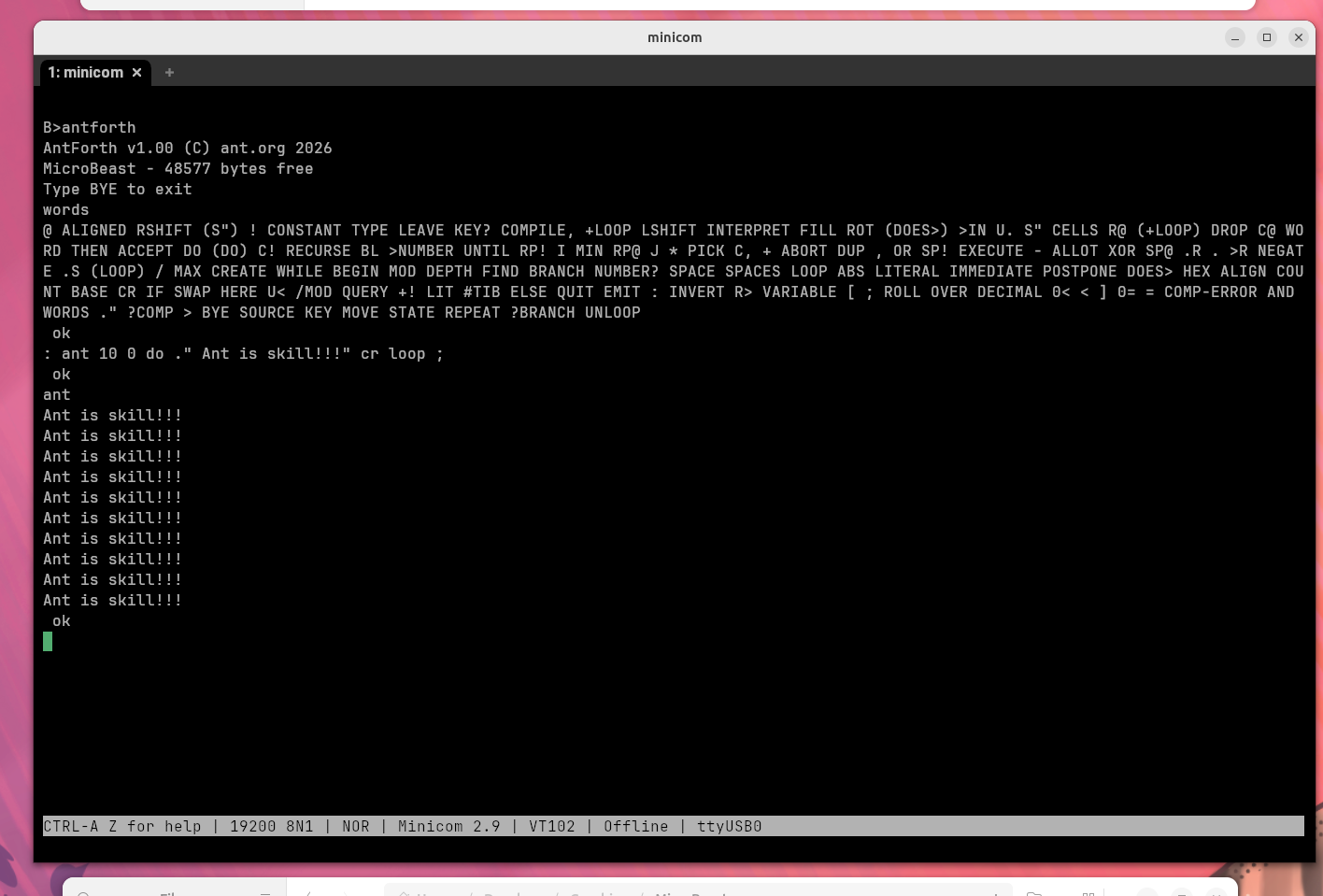 AntForth running on MicroBeast