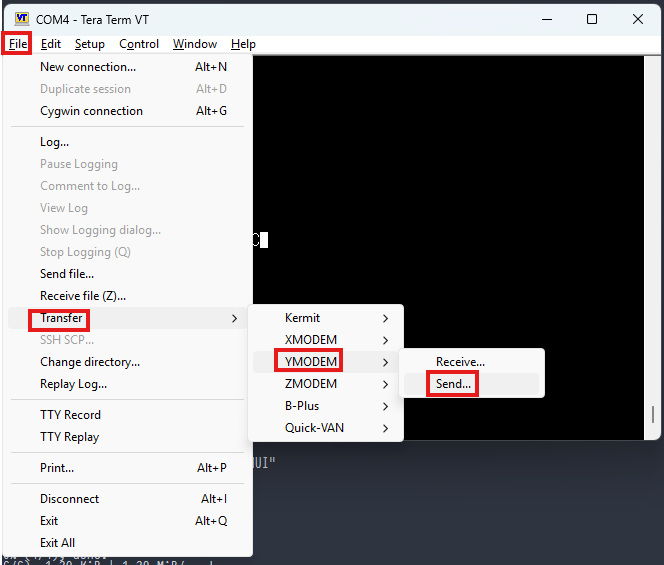 Teraterm ymodem startup